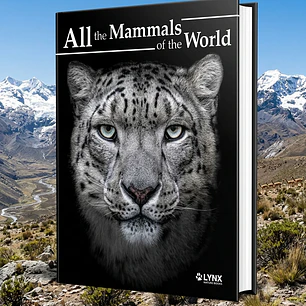 All the Mammals of the World – La Enciclopedia de los Mamíferos del Planeta (English) - Lynx Ediciones