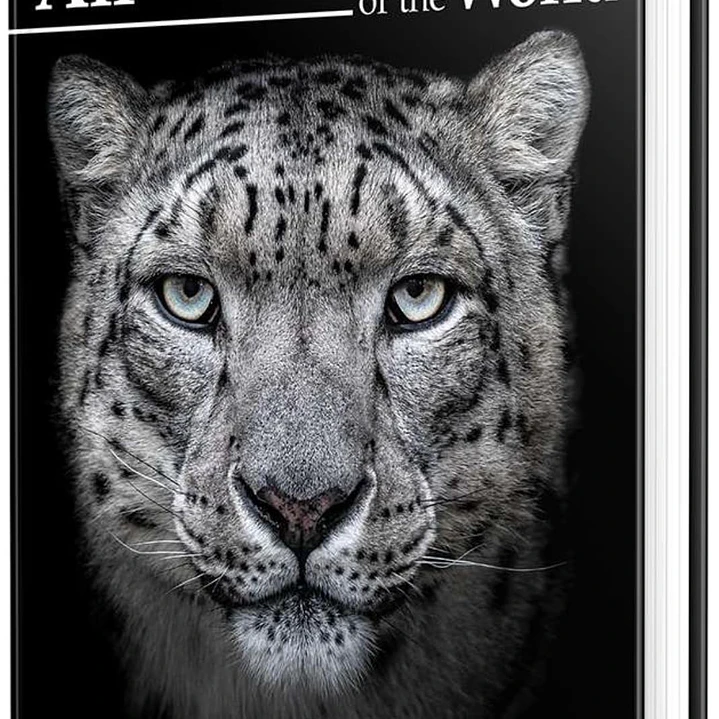 All the Mammals of the World – La Enciclopedia de los Mamíferos del Planeta (English) - Lynx Ediciones 2