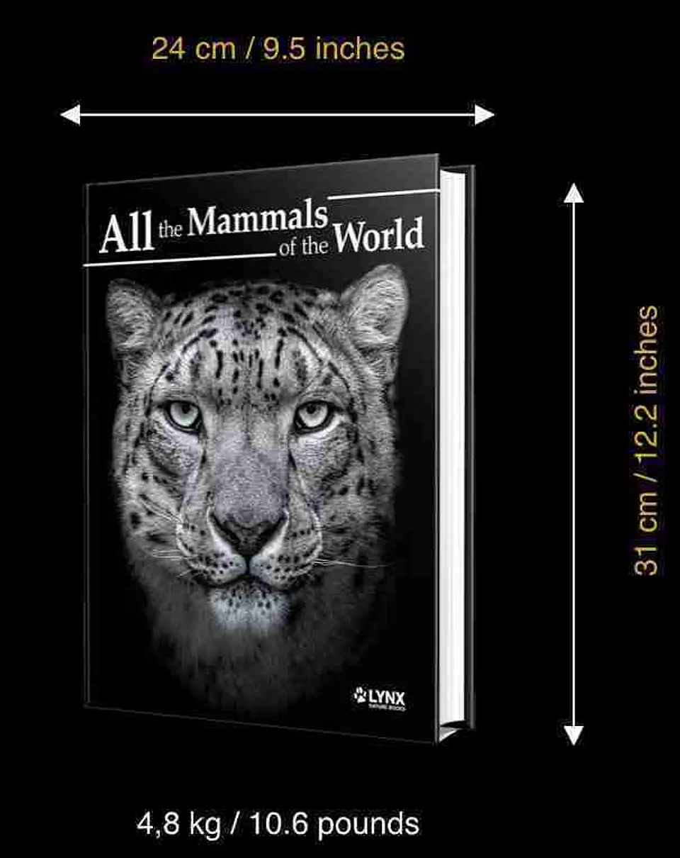 All the Mammals of the World – La Enciclopedia de los Mamíferos del Planeta (English) - Lynx Ediciones 4