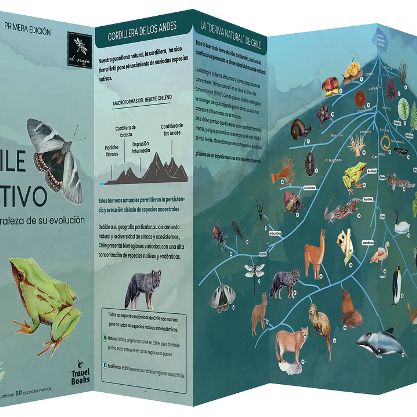 Juego Memorice Chile Nativo – 40 piezas con especies nativas de la biodiversidad chilena 9