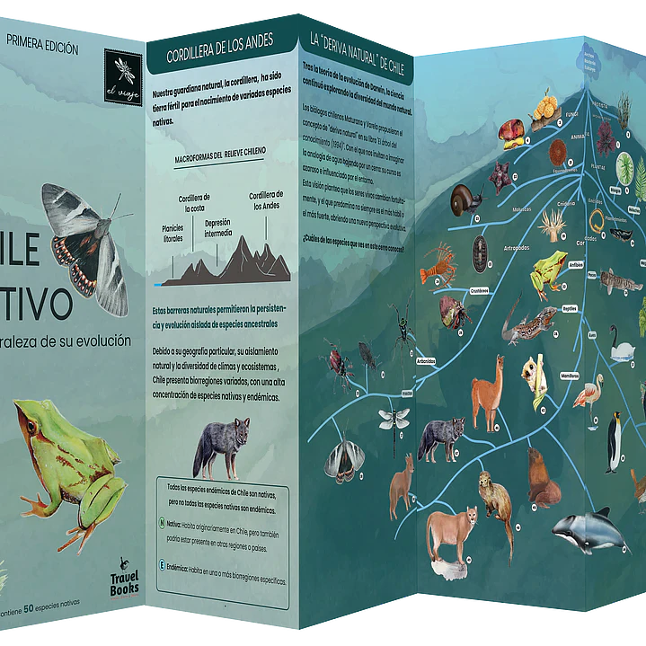 Juego Memorice Chile Nativo – 40 piezas con especies nativas de la biodiversidad chilena 9