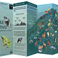 Juego Memorice Chile Nativo – 40 piezas con especies nativas de la biodiversidad chilena - Miniatura 9