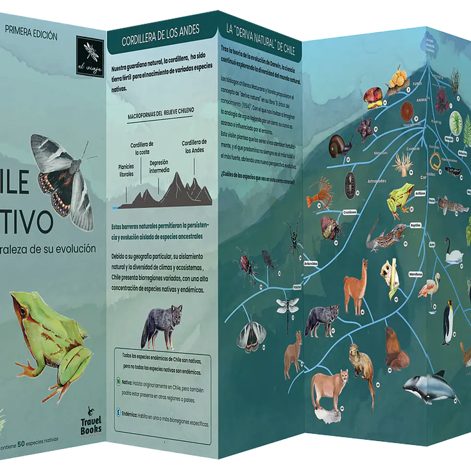 Juego Memorice Chile Nativo – 40 piezas con especies nativas de la biodiversidad chilena 9