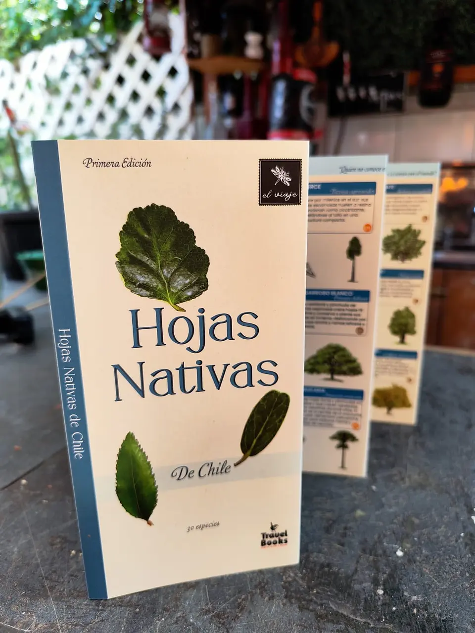 Hojas Nativas de Chile— Desplegable ilustrado de 30 especies | Primera edición 1
