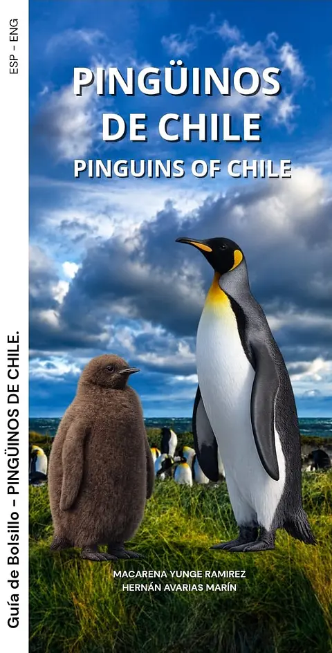 Pingüinos – Desplegable