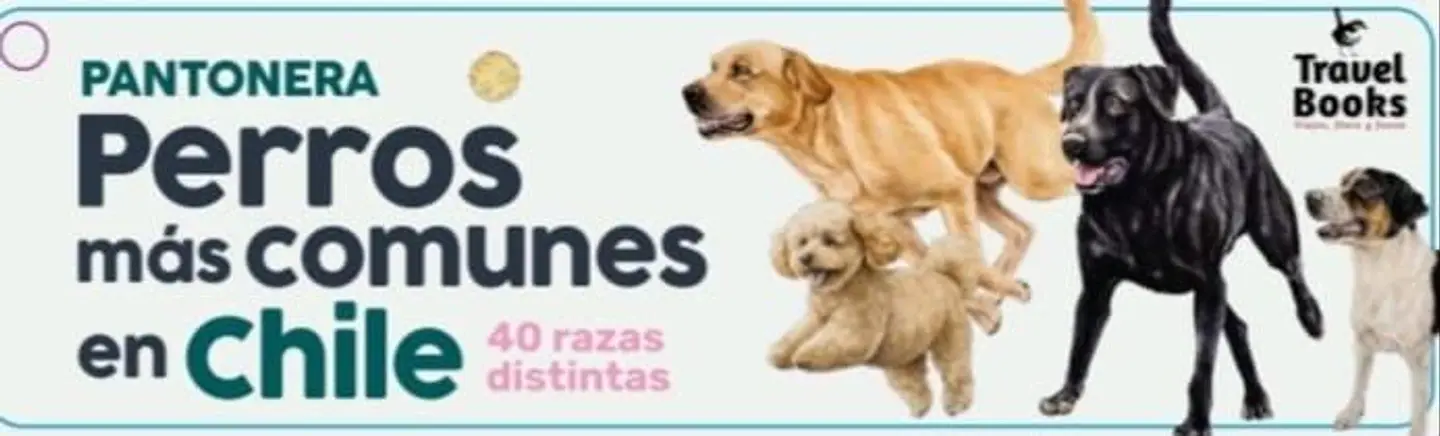 Pantonera Perros Más Comunes en Chile 1
