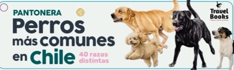 Pantonera Perros Más Comunes en Chile 1