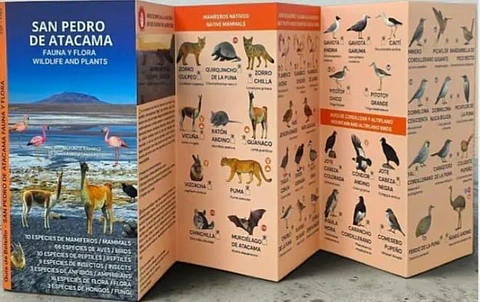 San Pedro de Atacama: Fauna y Flora