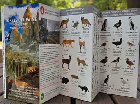 Torres del Paine: Fauna y Flora