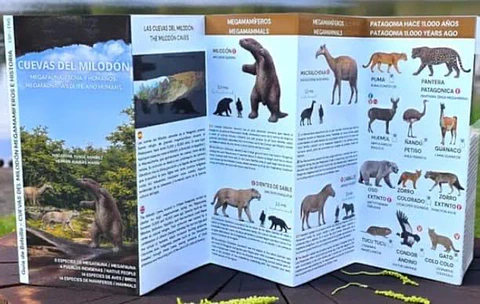 Cuevas del Milodón: Megafauna, Fauna y Humanos