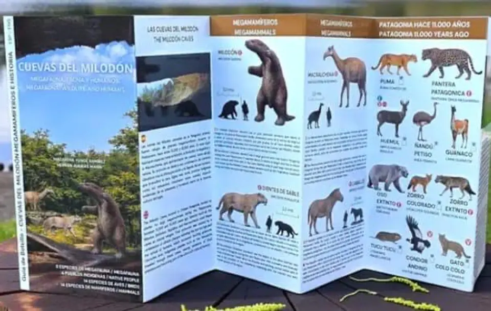 Cuevas del Milodón: Megafauna, Fauna y Humanos 1
