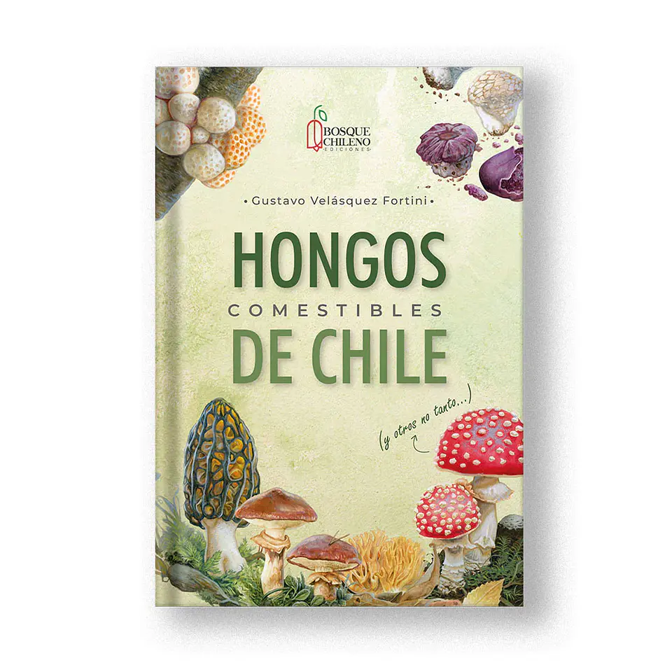 Hongos Comestibles de Chile – Gustavo Velásquez Fortini 1