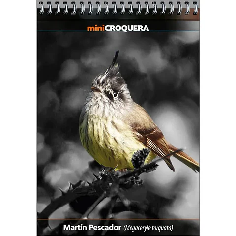 Martín Pescador – Croquera 14 × 10 cm