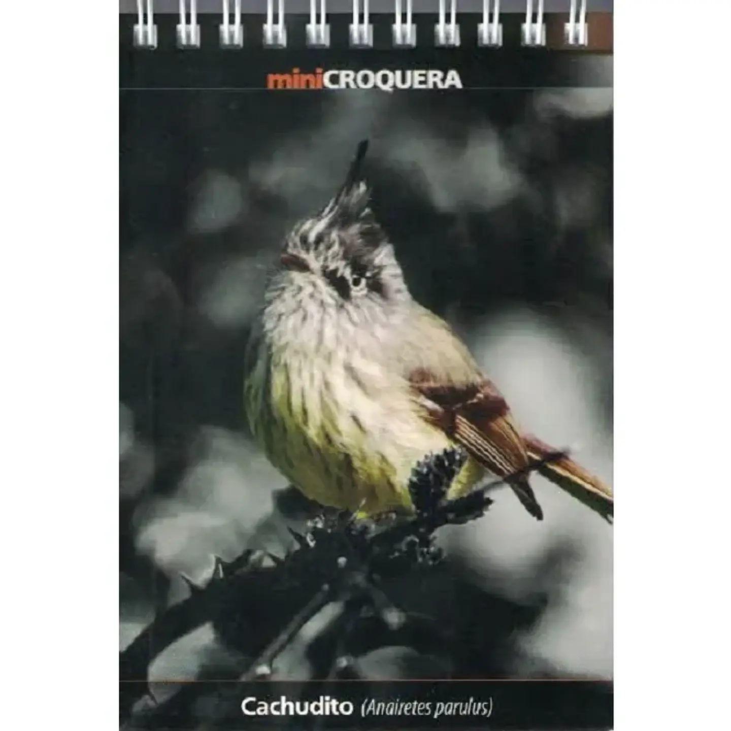 Cachudito – Croquera 14 × 10 cm 1
