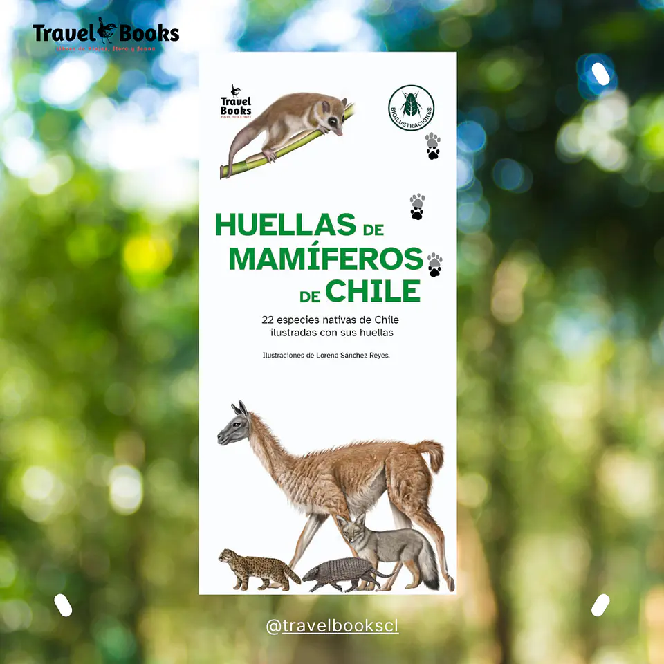Huellas de Mamíferos de Chile – Guía desplegable 1