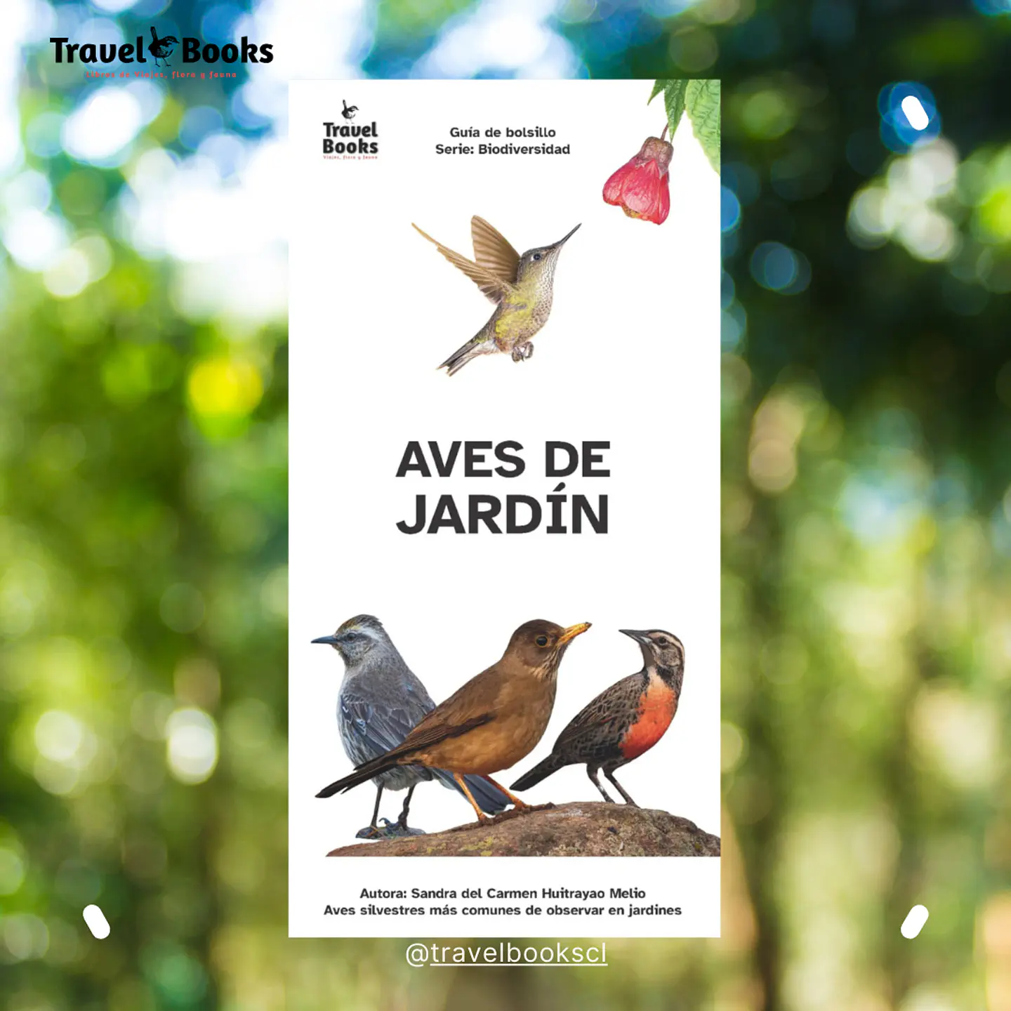 Aves de Jardín – Guía desplegable 1