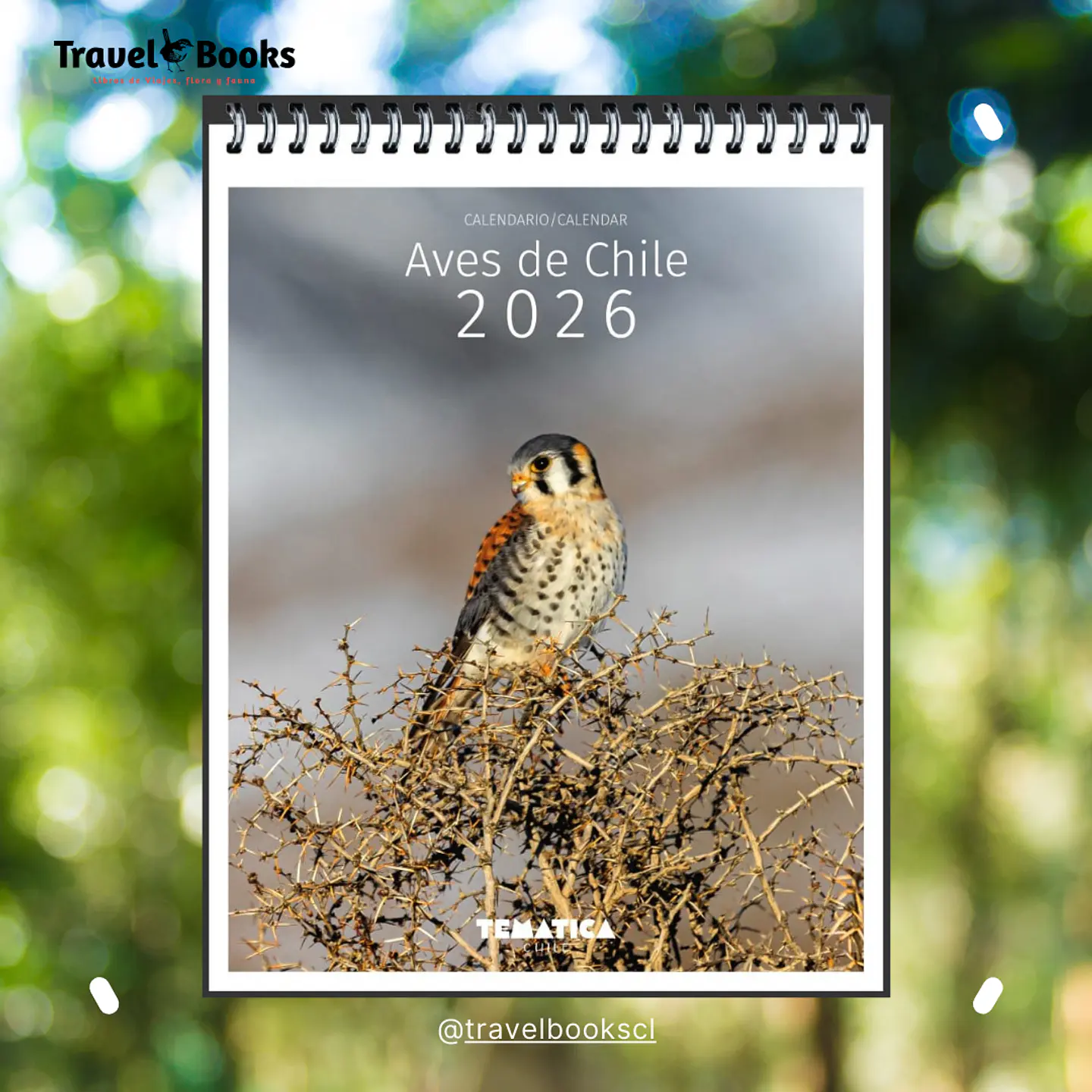 Calendario Mural Aves de Chile 2026 1