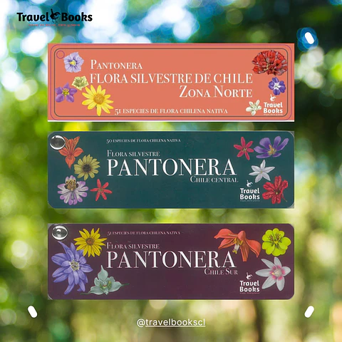 Pack Pantoneras Flora Silvestre de Chile – Norte, Centro y Sur