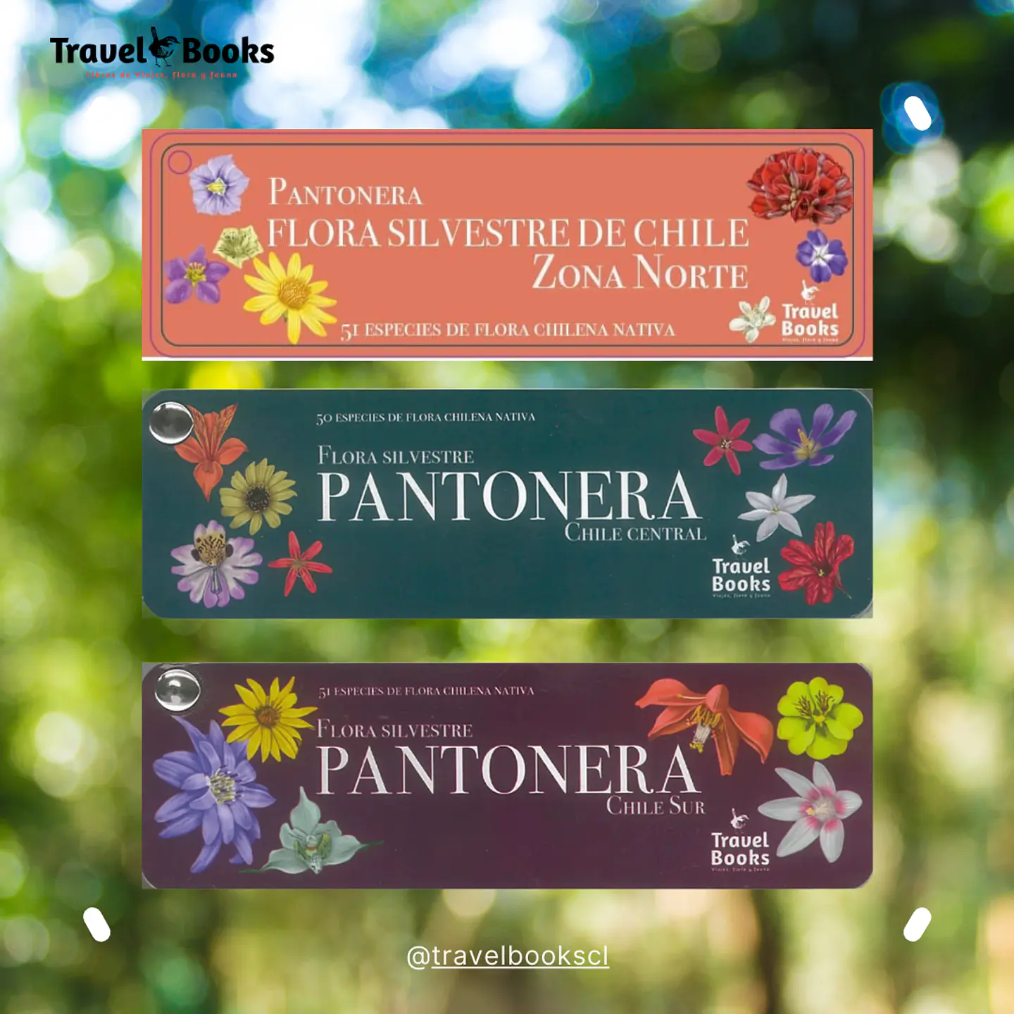 Pack Pantoneras Flora Silvestre de Chile – Norte, Centro y Sur 1