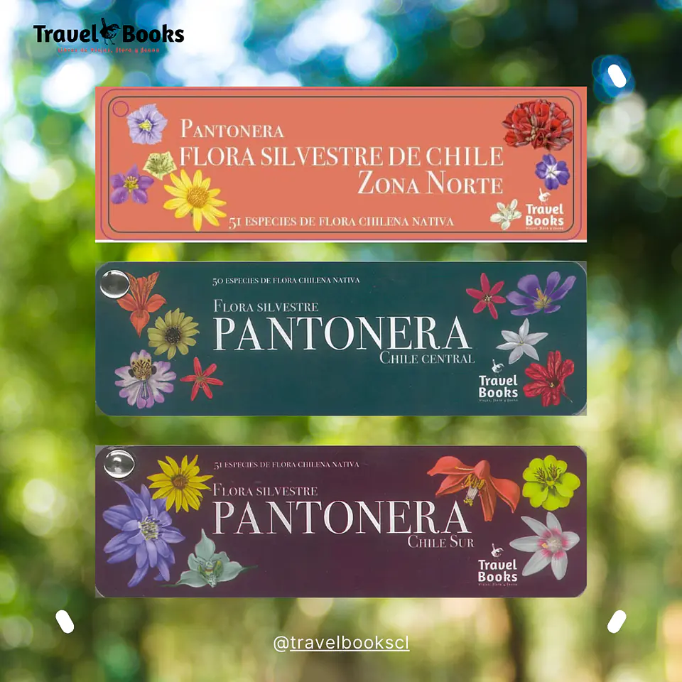 Pack Pantoneras Flora Silvestre de Chile – Norte, Centro y Sur 1