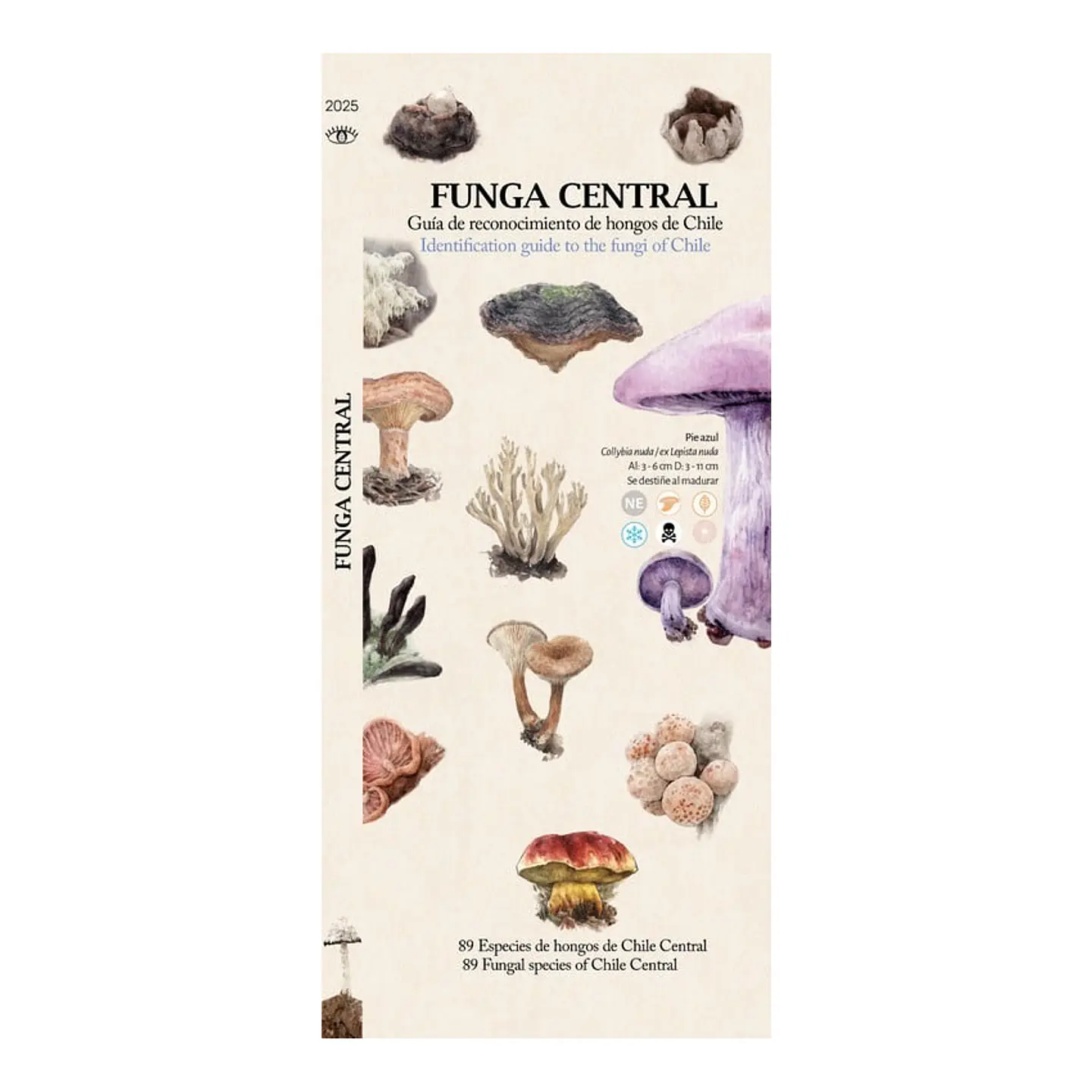 Funga Central – Guía desplegable 1