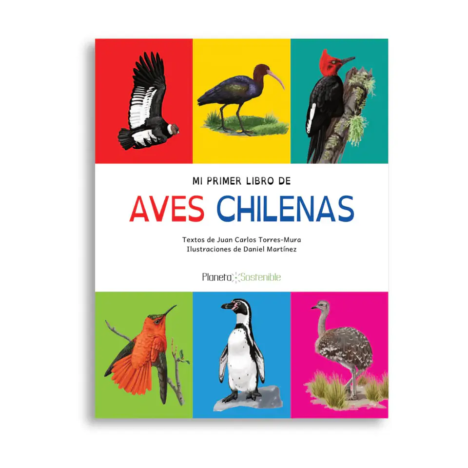 Mi Primer Libro de Aves Chilenas 1