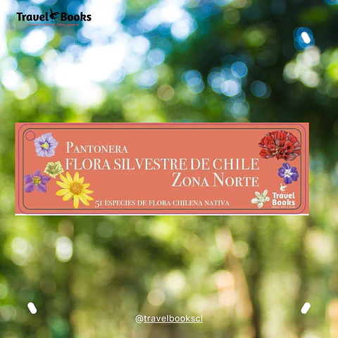 Pantonera Flores de Chile – Zona Norte