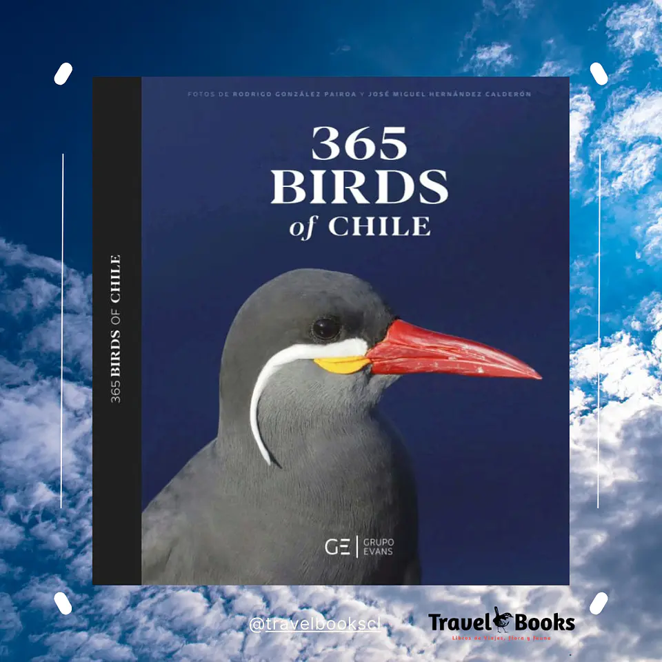 365 Birds of Chile – José Miguel Hernández y Rodrigo González Pairoa 1
