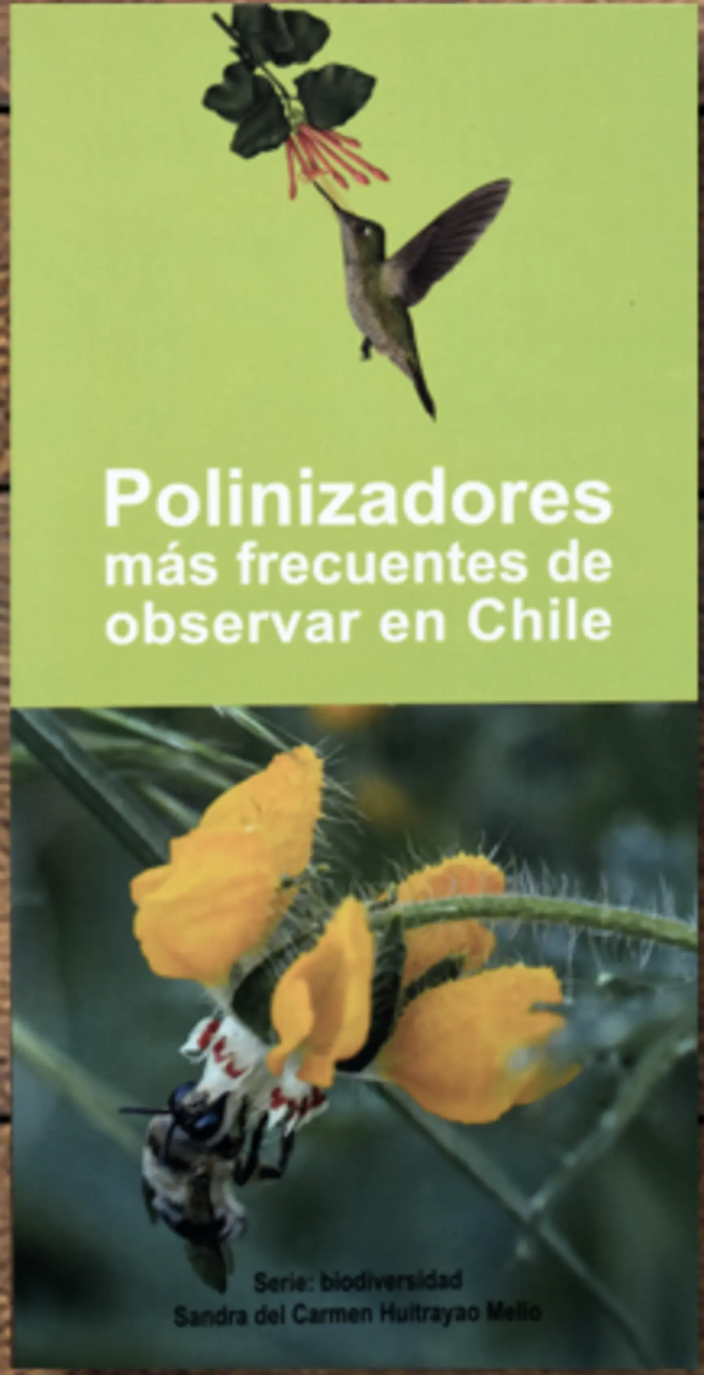 Insectos y Aves Polinizadores de Chile – Tríptico 1