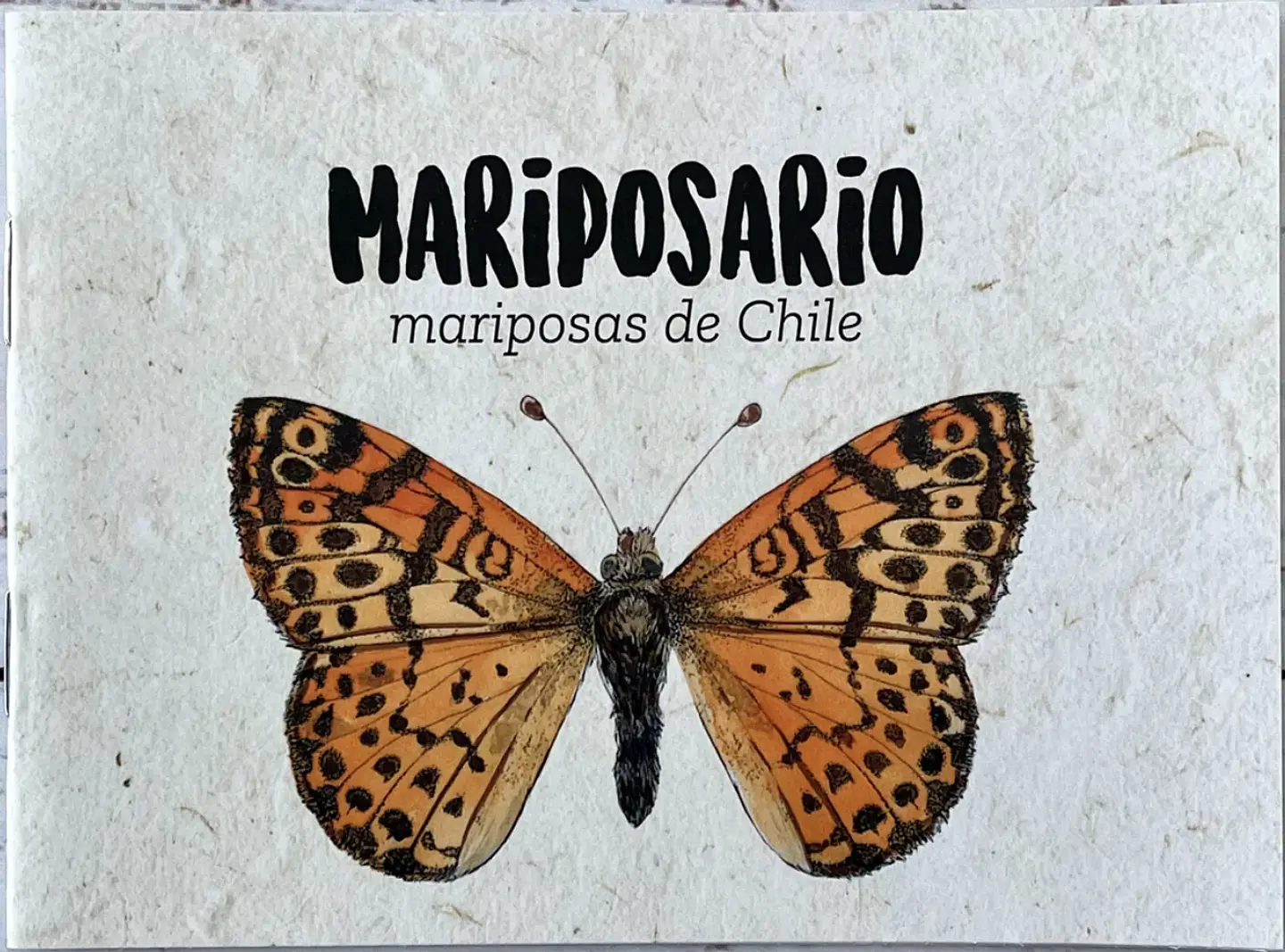 Mariposario – Claudia Ortiz 1