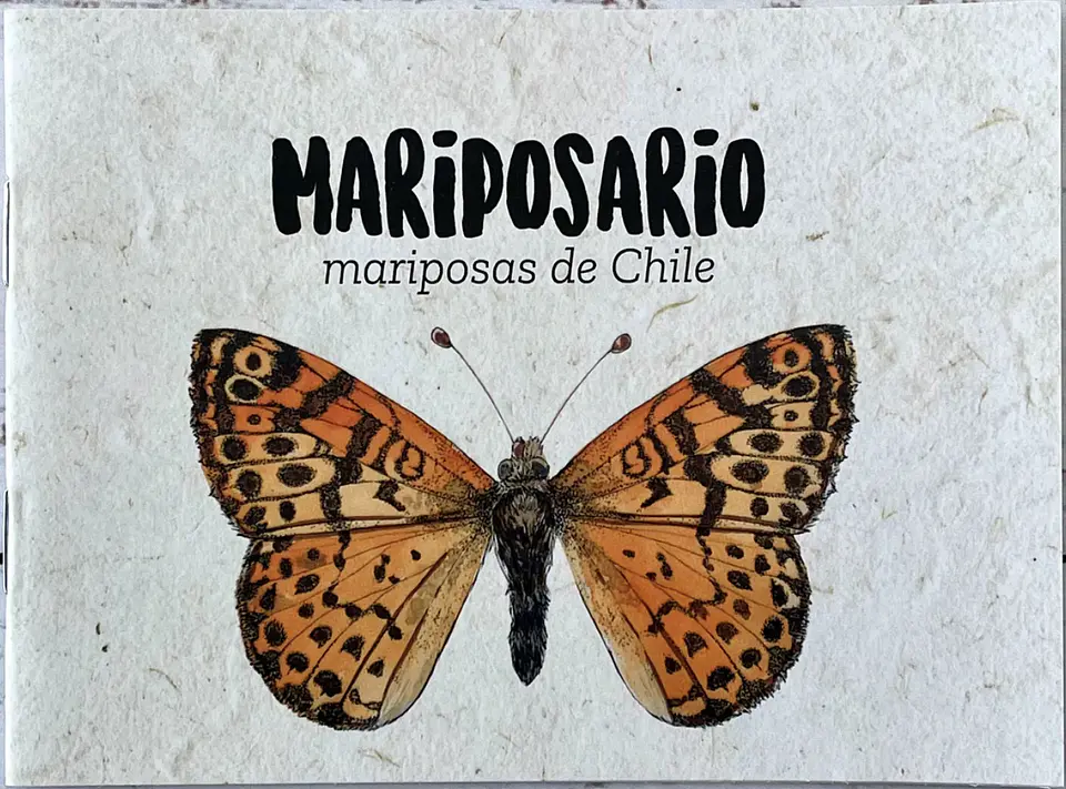 Mariposario – Claudia Ortiz 1