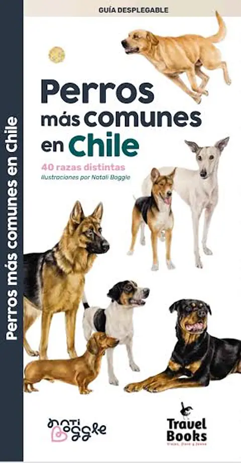 Perros Más Comunes en Chile – Desplegable