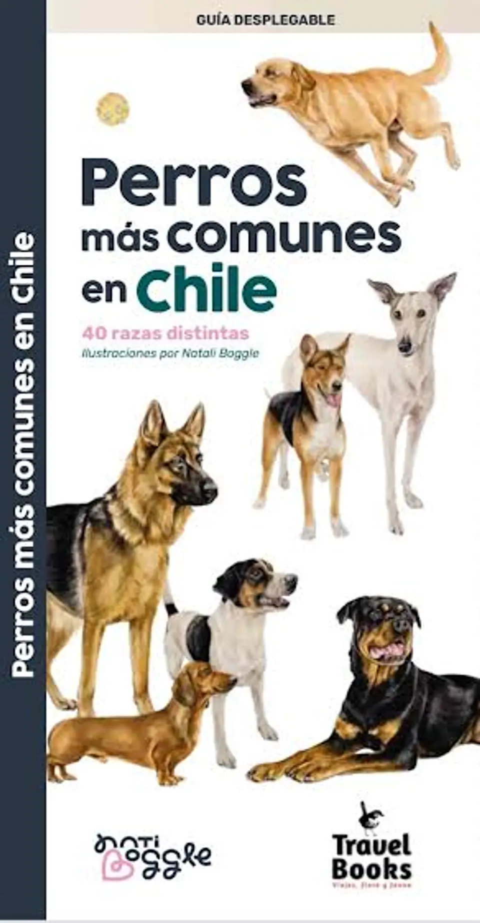 Perros Más Comunes en Chile – Desplegable 1