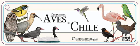 Pantonera Aves de Chile