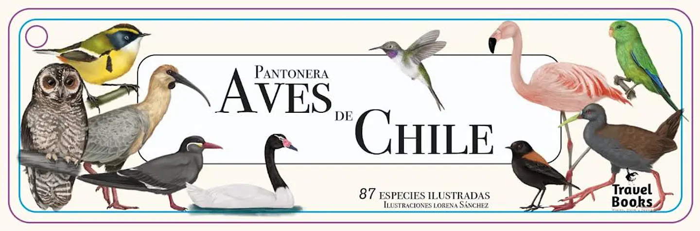 Pantonera Aves de Chile 1