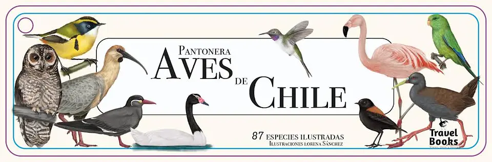 Pantonera Aves de Chile 1