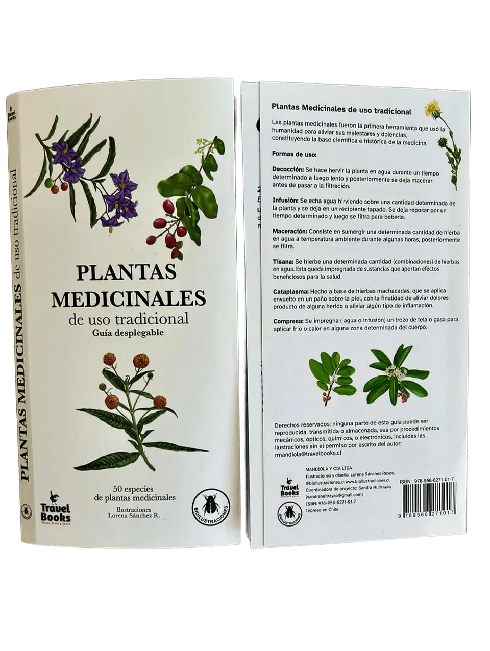 Plantas Medicinales de Uso Tradicional – Guía desplegable 1