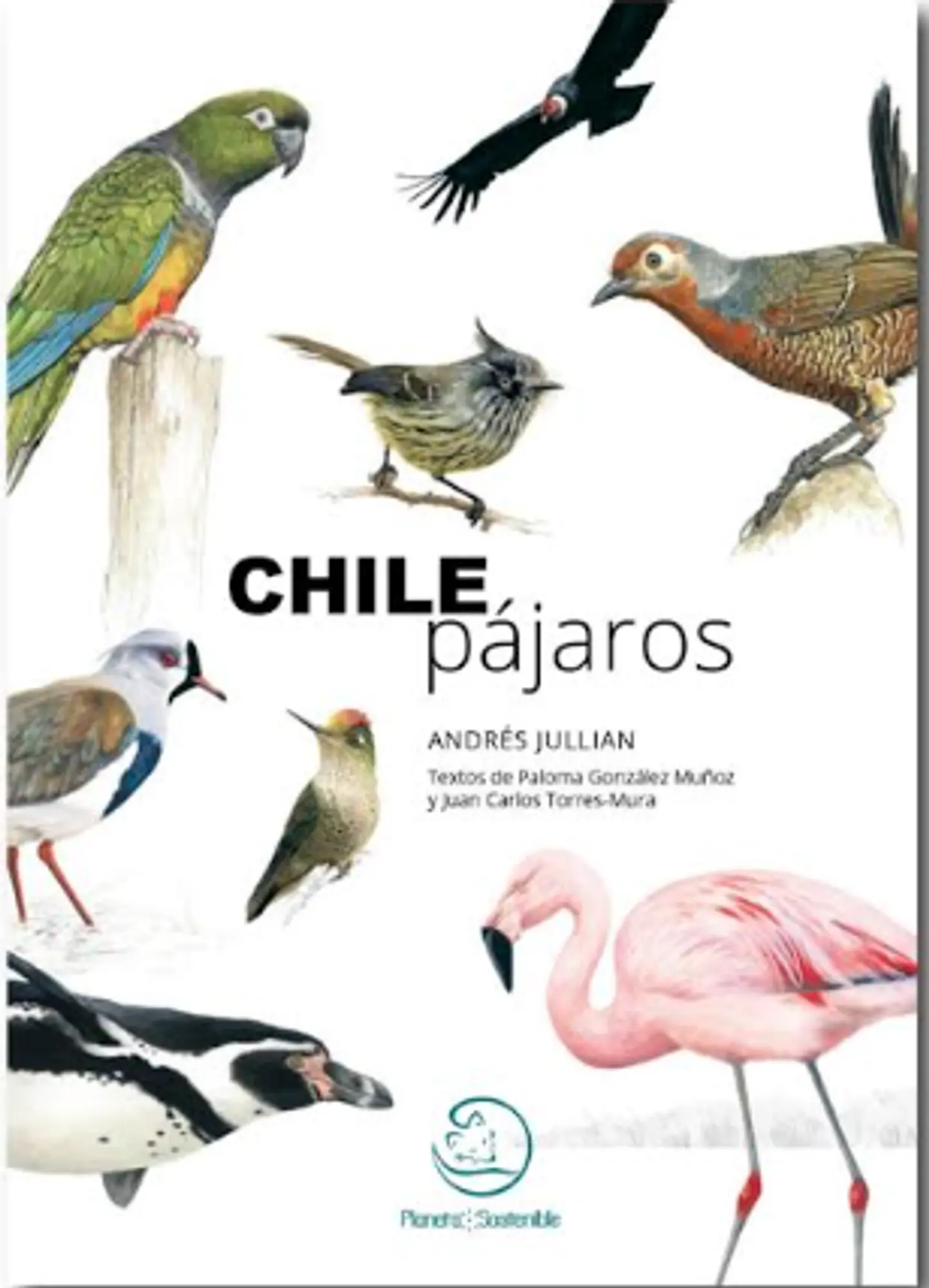 Chile Pájaros 1
