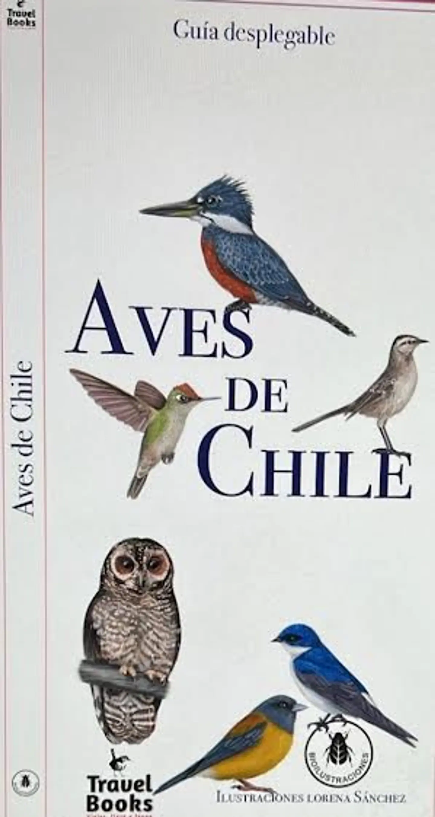Aves de Chile – Desplegable 1