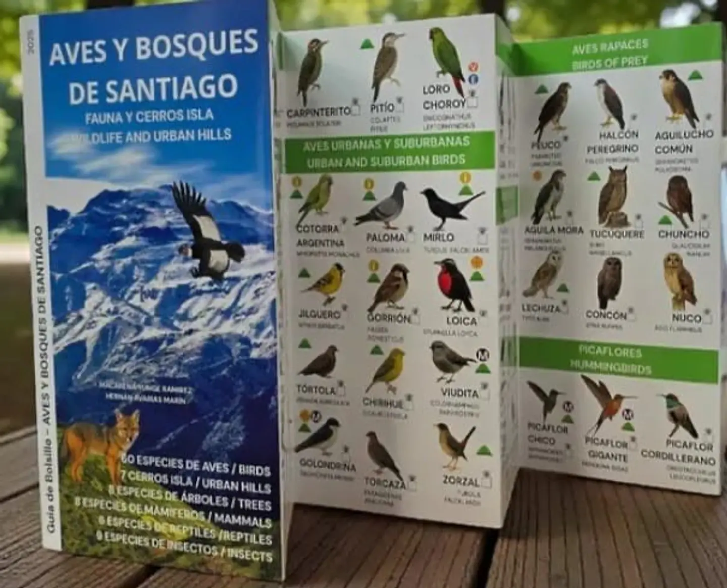 Aves y Bosques de Santiago: Fauna y Cerros Isla 1