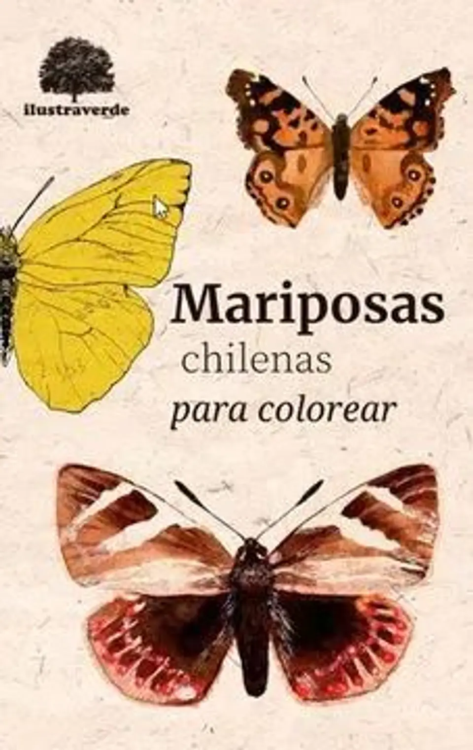 Mariposas Chilenas para Colorear – Claudia Ortiz 1