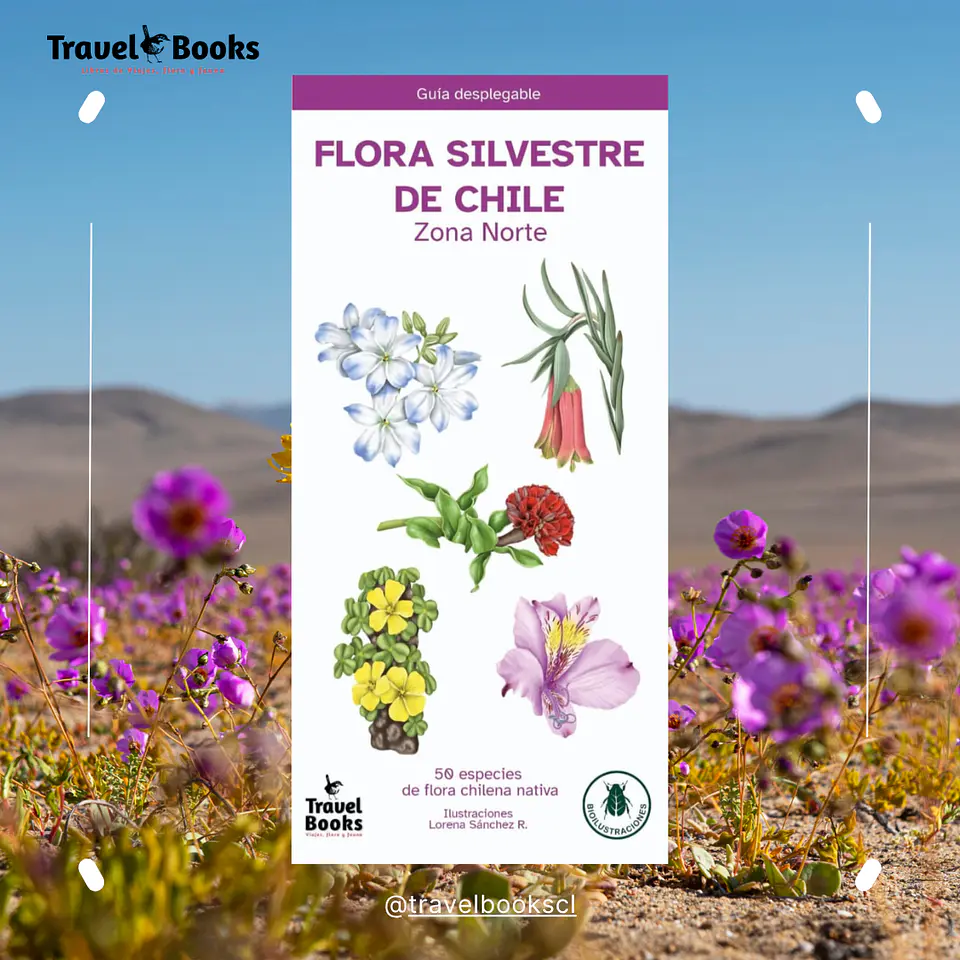 Flora Silvestre de Chile Zona Norte – Desplegable 1