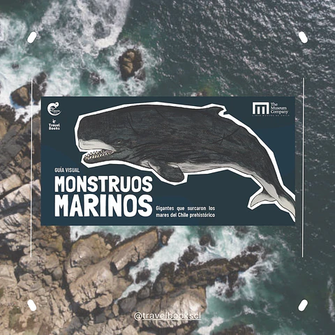 Monstruos Marinos – Fresia Grimberg