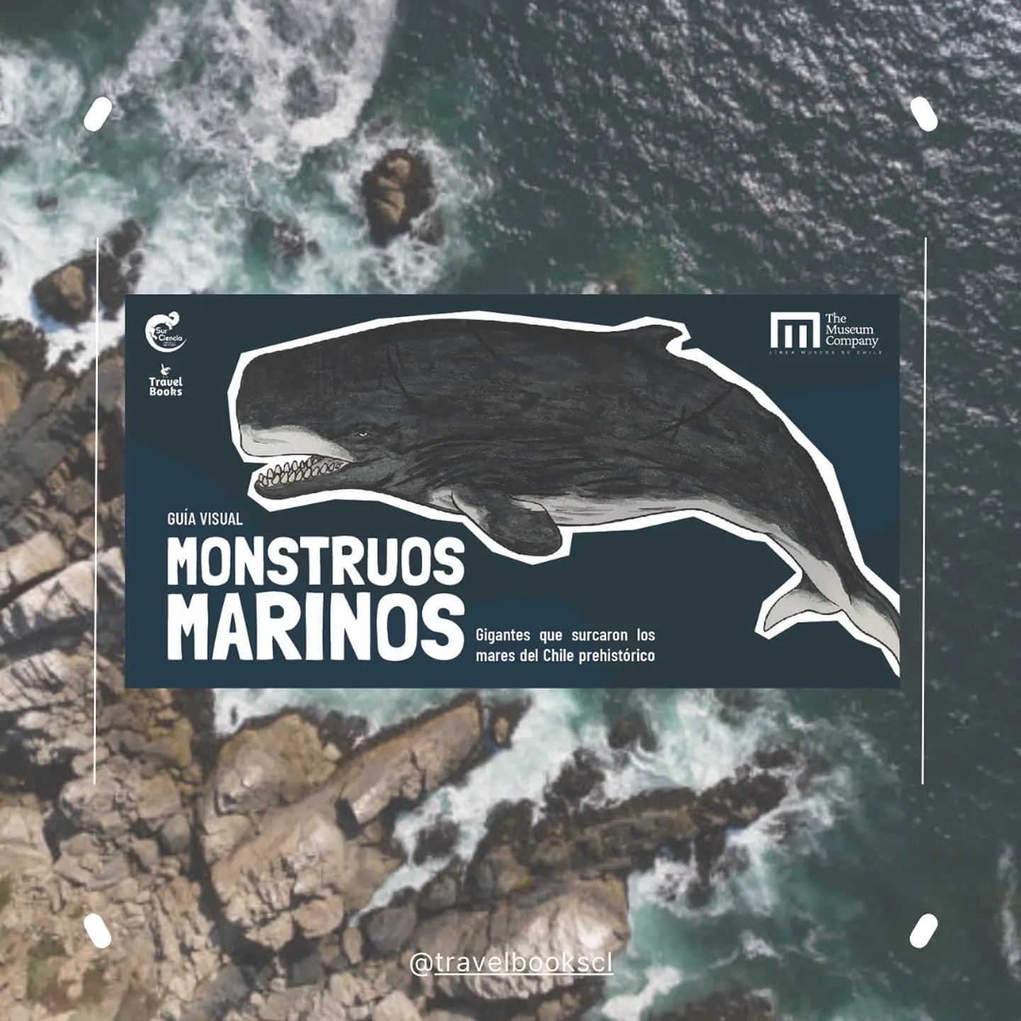 Monstruos Marinos – Fresia Grimberg 1