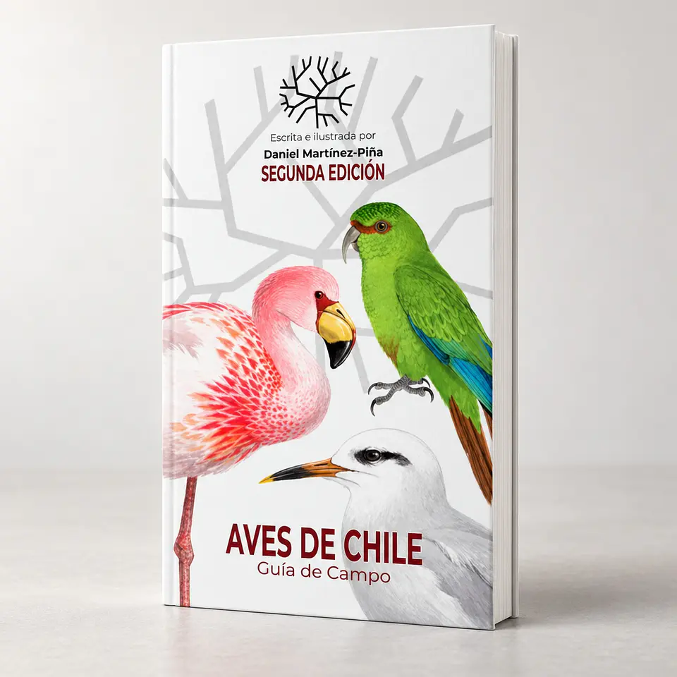 Aves de Chile – Daniel Martínez (Segunda Edición): Tu Compañera Esencial para la Observación de Aves 1