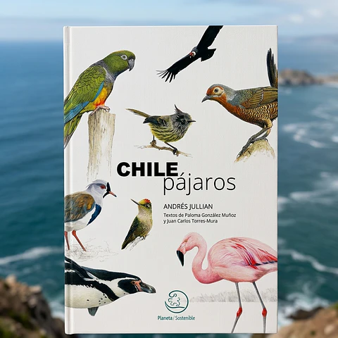 Chile Pájaros