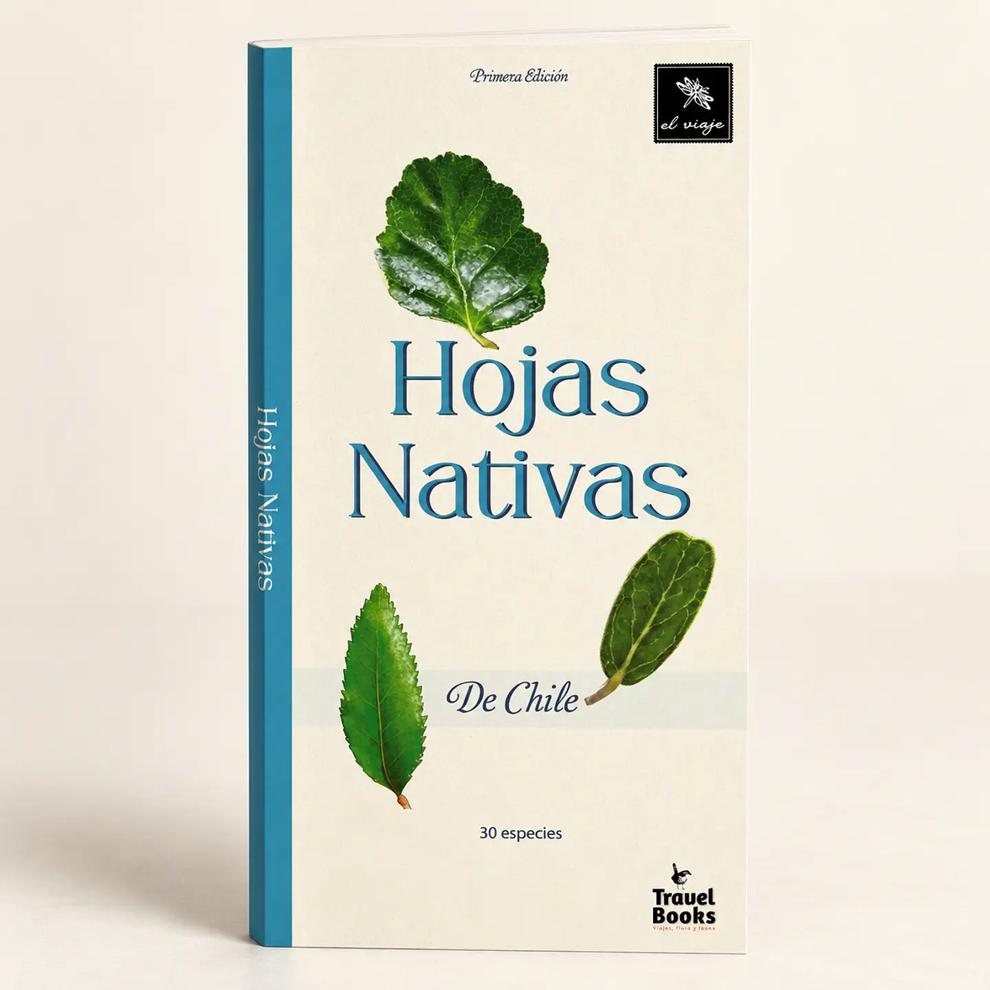 Hojas Nativas de Chile— Desplegable ilustrado de 30 especies | Primera edición 1