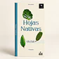 Hojas Nativas de Chile— Desplegable ilustrado de 30 especies | Primera edición - thumbnail 1