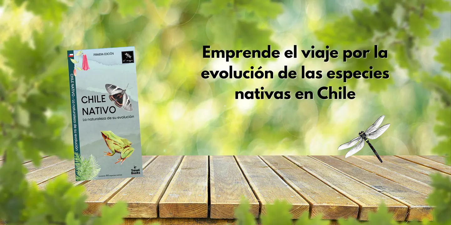 Tienda el viaje