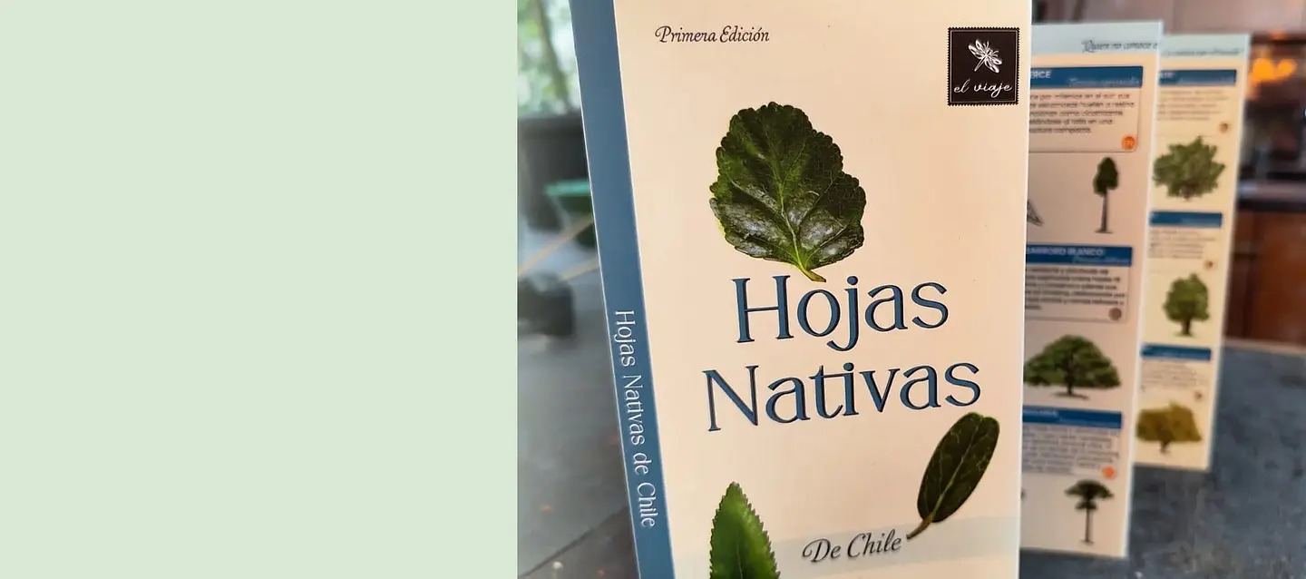 Desplegable Hojas Nativas de Chile, primera edición